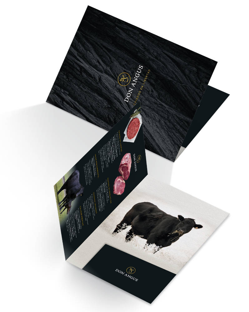 Carpeta de presentación corporativa Don Angus diseñada como material de branding