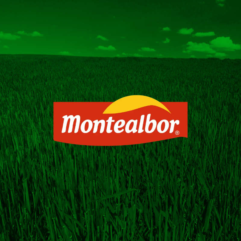 Logo corporativo Montealbor creado como parte de su identidad visual