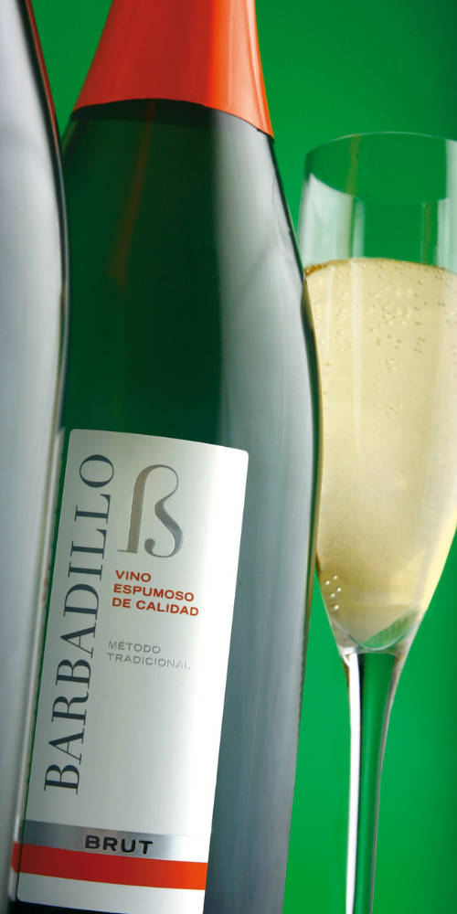 Diseño de Barbadillo Beta Packaging