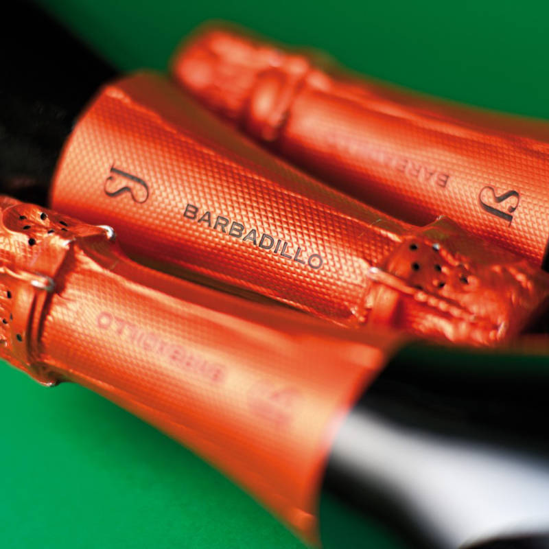 Diseño de Cápsulas Barbadillo Beta