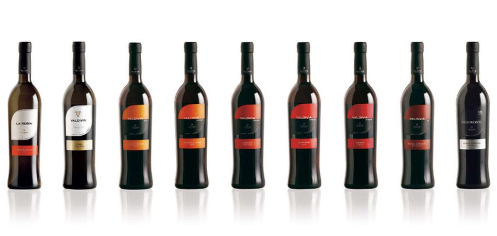 Diseño de Colección Vinos de Jerez Bodegas Valdivia