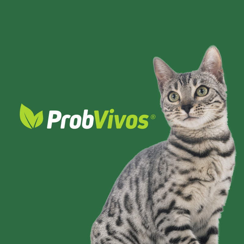 Probvivos