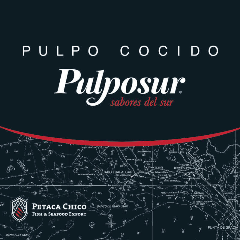 Marca Pulposur branding y packaging