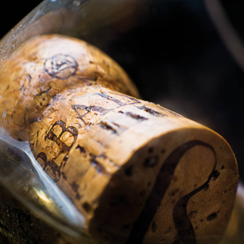 Diseño de Tapón Barbadillo Beta